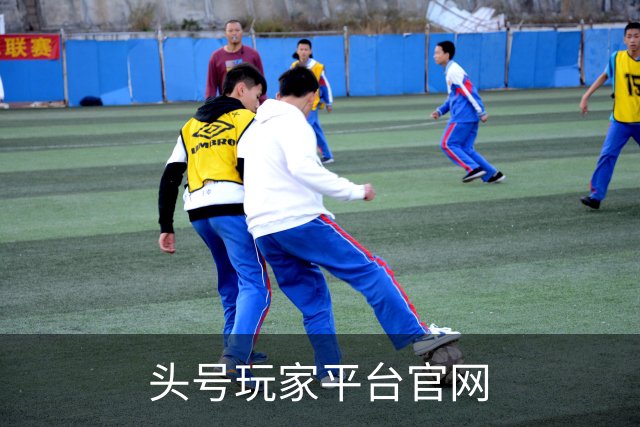 头号玩家平台官网公司简介